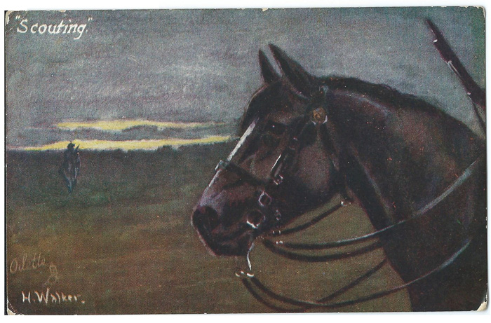 Дореволюционная открытка. Лошадь в поле