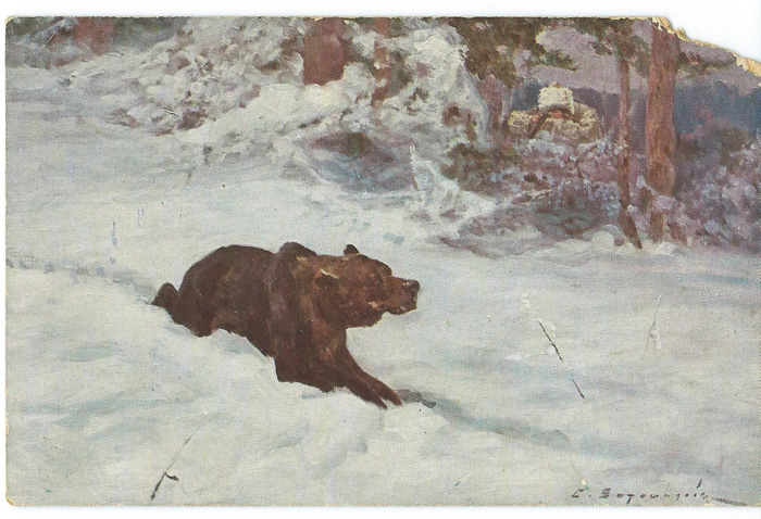 Дореволюционная открытка. Медведь