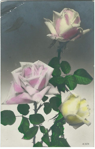 Дореволюционная открытка. Три розы